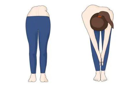 新华康复脊柱健康指南 守护孩子挺拔身姿，预防脊柱弯曲异常