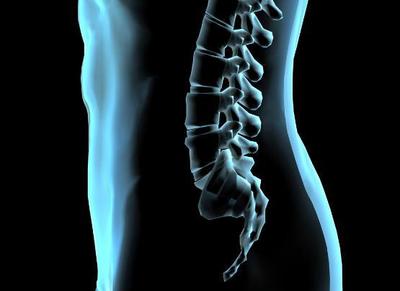 重塑身姿，守护脊柱 6个瑜伽体式助你告别僵硬扭曲，还你健康美背